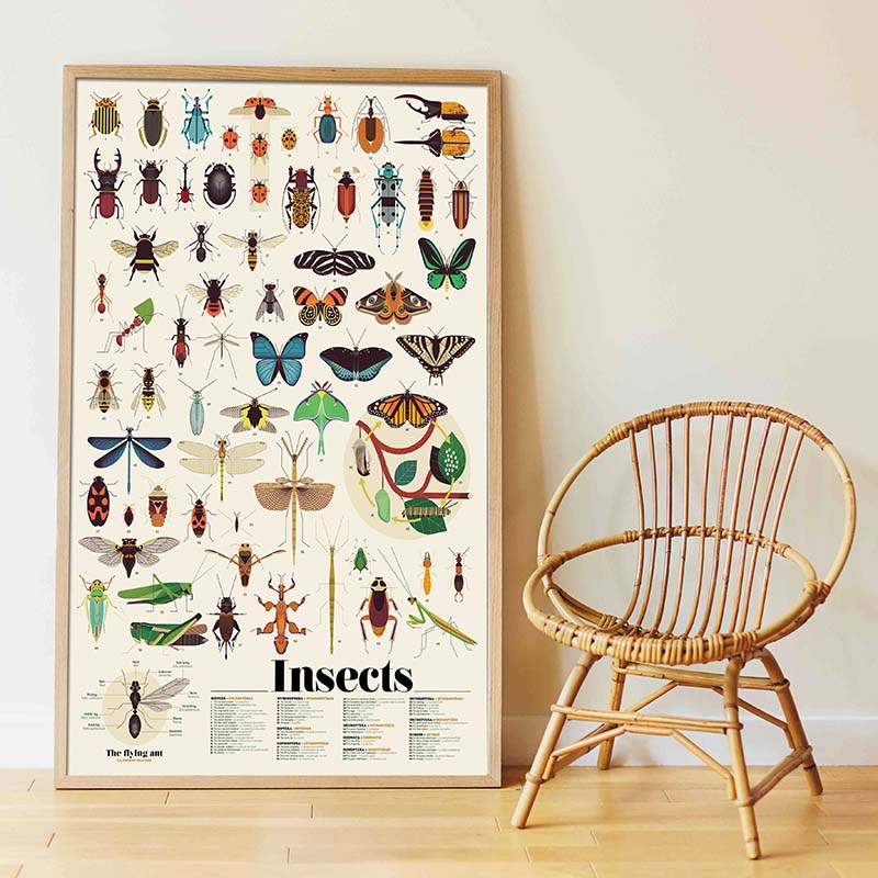 Poppik nalepke žuželke 2 Poppik Discovery plakat nalepke žuželke